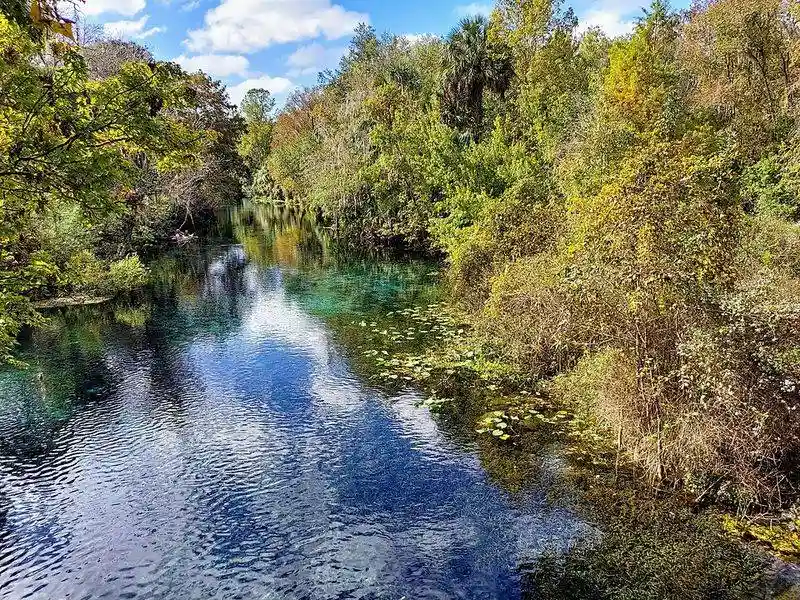 Silver Springs State Park