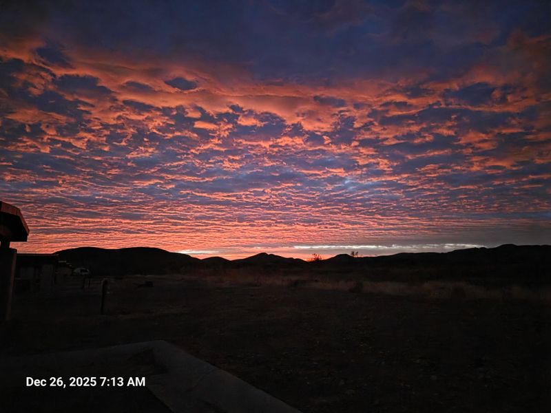 Stargazing Under Texas Skies
