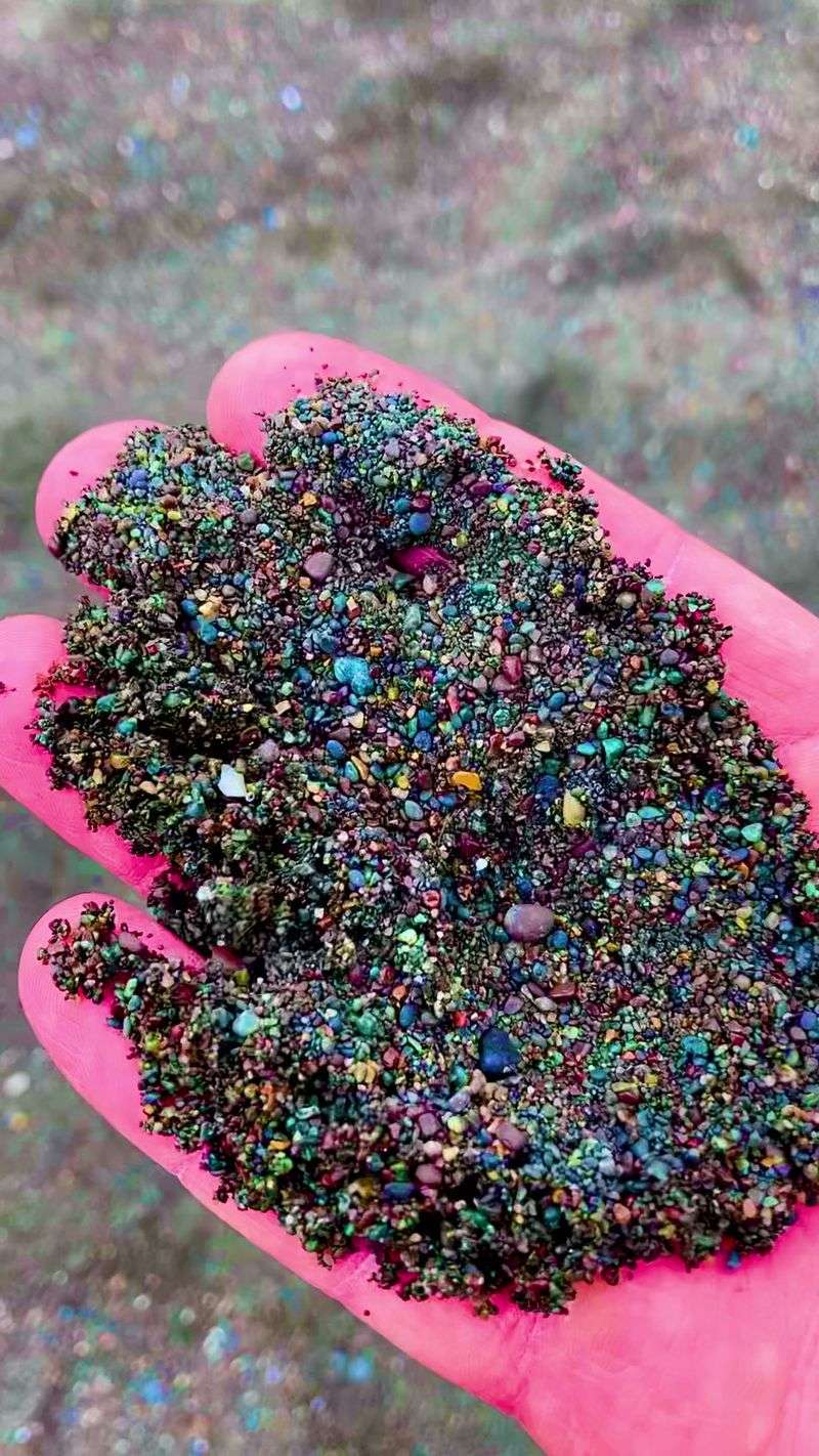 A Glimpse of History