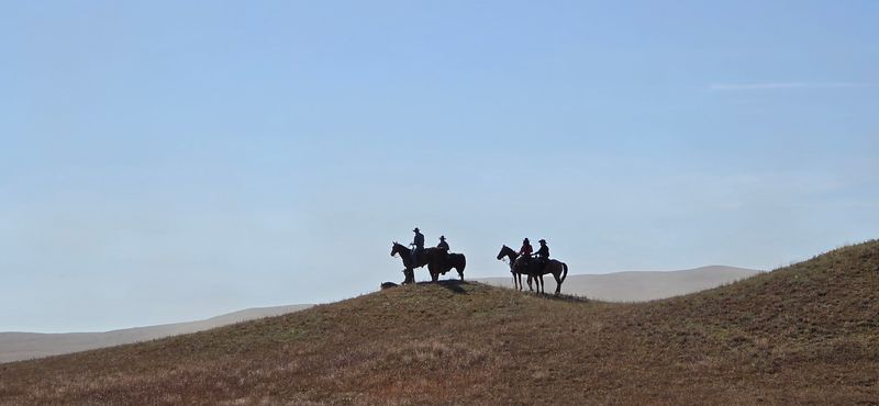 The Wildlife Beyond Bison