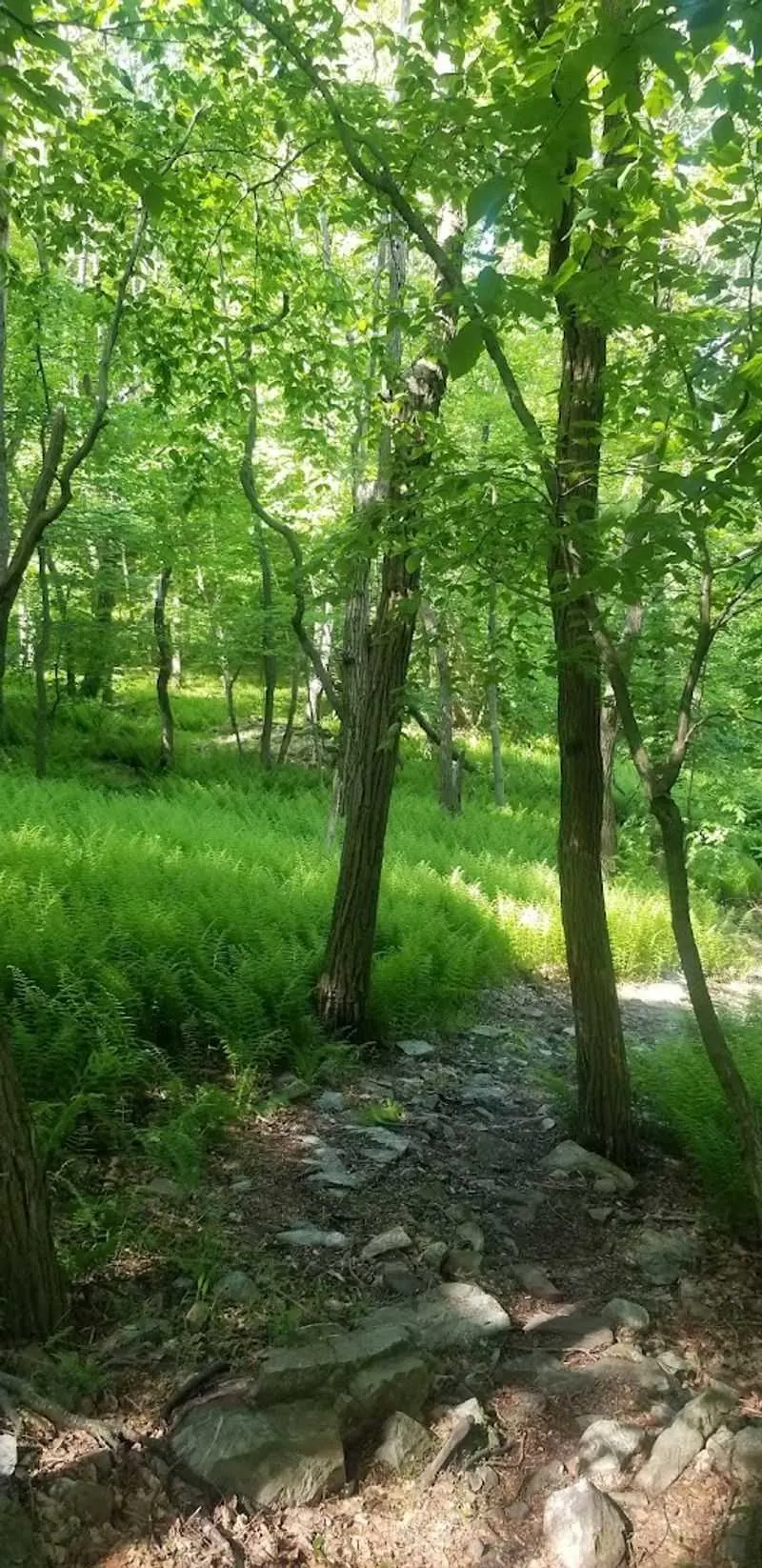 Seasonal Changes and Scenic Beauty