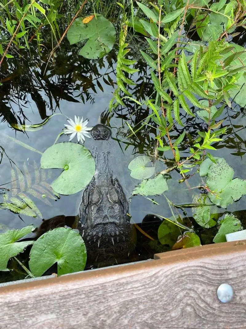 Wildlife Encounters Around Every Bend
