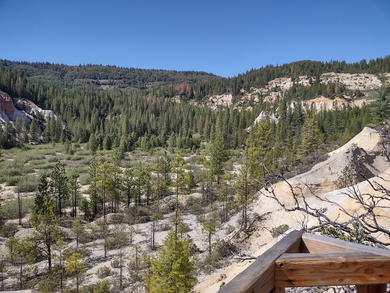Hiking Through a Dramatic Gold-Scarred Wilderness
