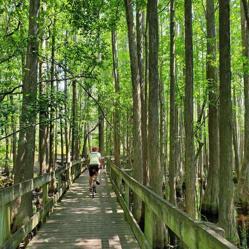 Minimal Development, Maximum Atmosphere