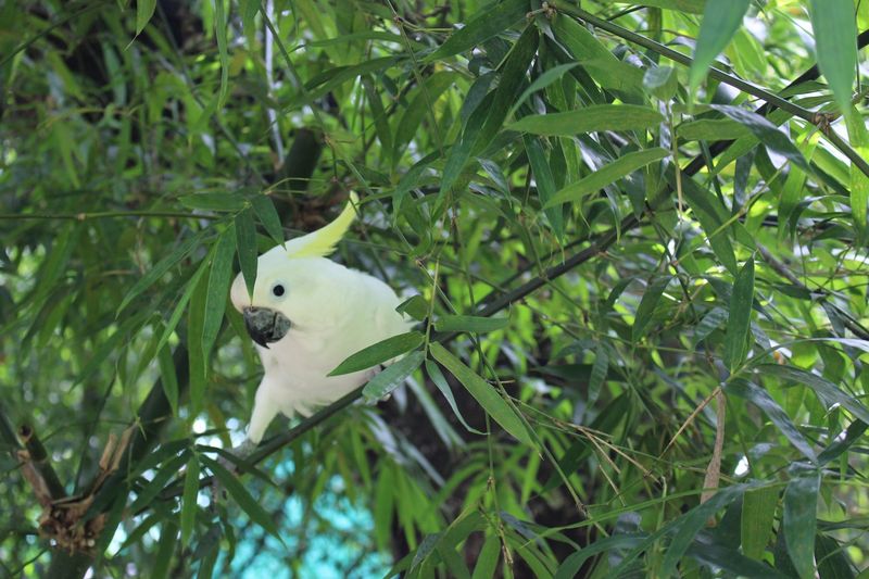 Conservation and Sustainability