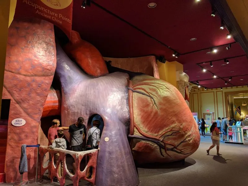 The Iconic Giant Heart Walk-Through Exhibit