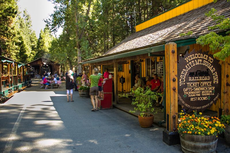 Origins of the Railroad: From Lumber Line to Heritage Experience