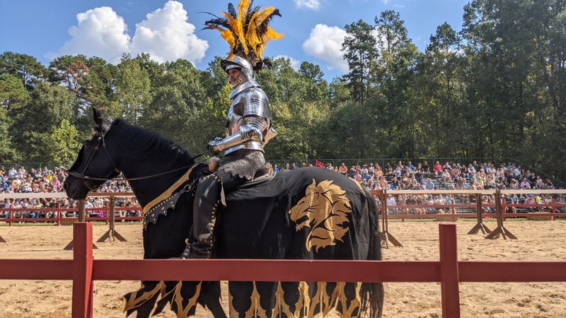 Enchanting Jousting Tournaments