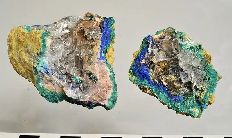 Exploring the Hidden Fossils