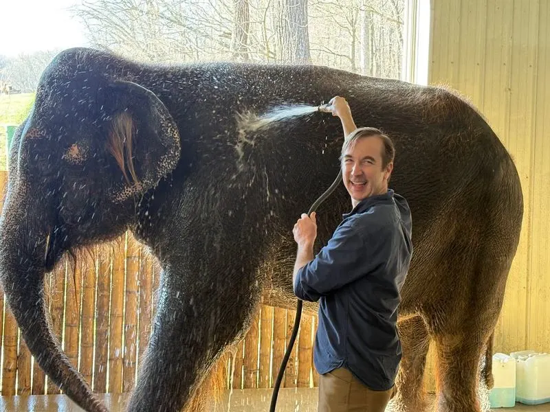 Up-Close Encounters With Elephants