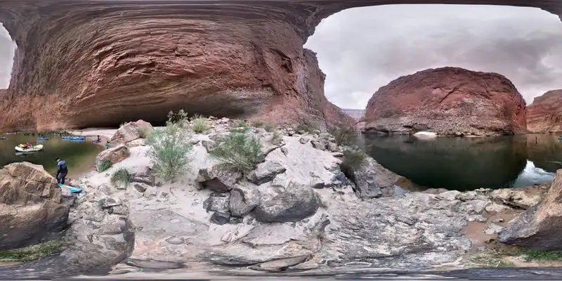 A Haven for Wildlife