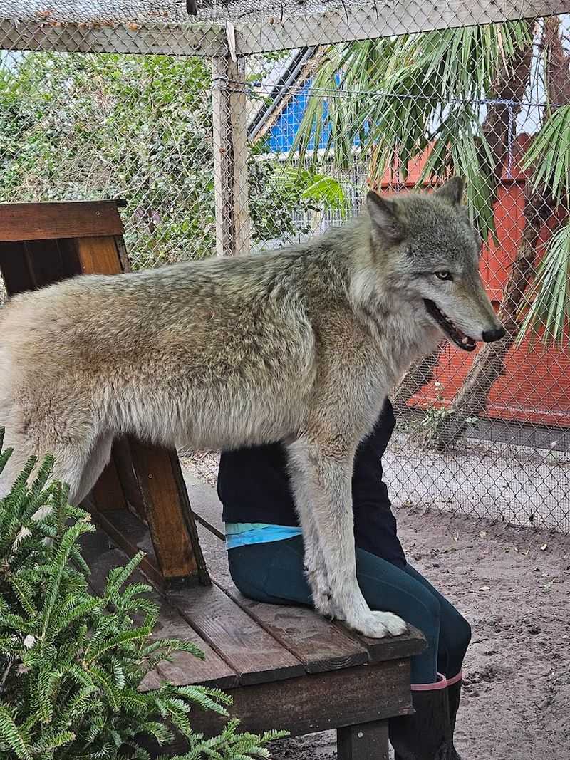 Keeping the Sanctuary Running