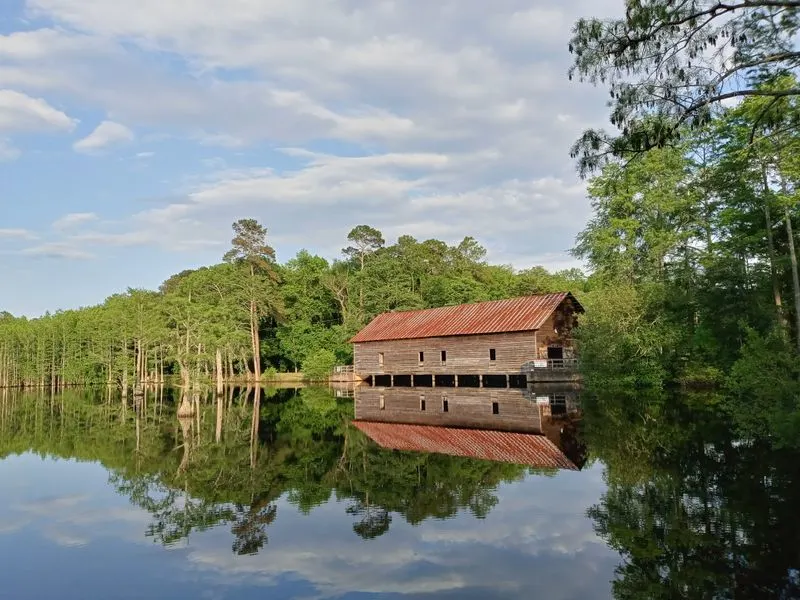 Parrish Mill Pond’s Mirror Like Water