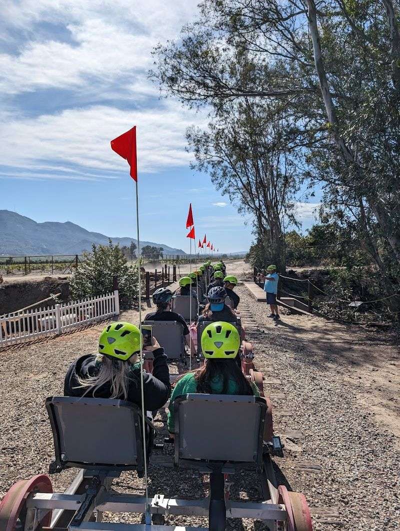 Perfect for Celebrations