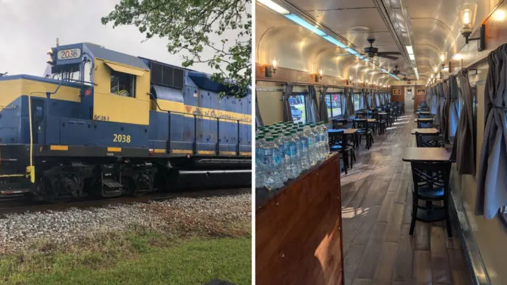 A Slow-Paced Train Ride Through Rural Georgia That Feels Like Stepping Back in Time