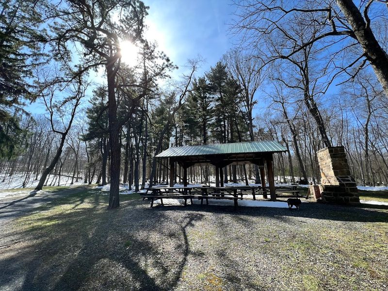 Why It Feels Like a Forgotten World