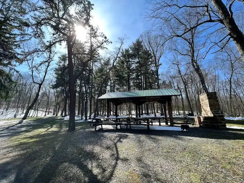 Why It Feels Like a Forgotten World