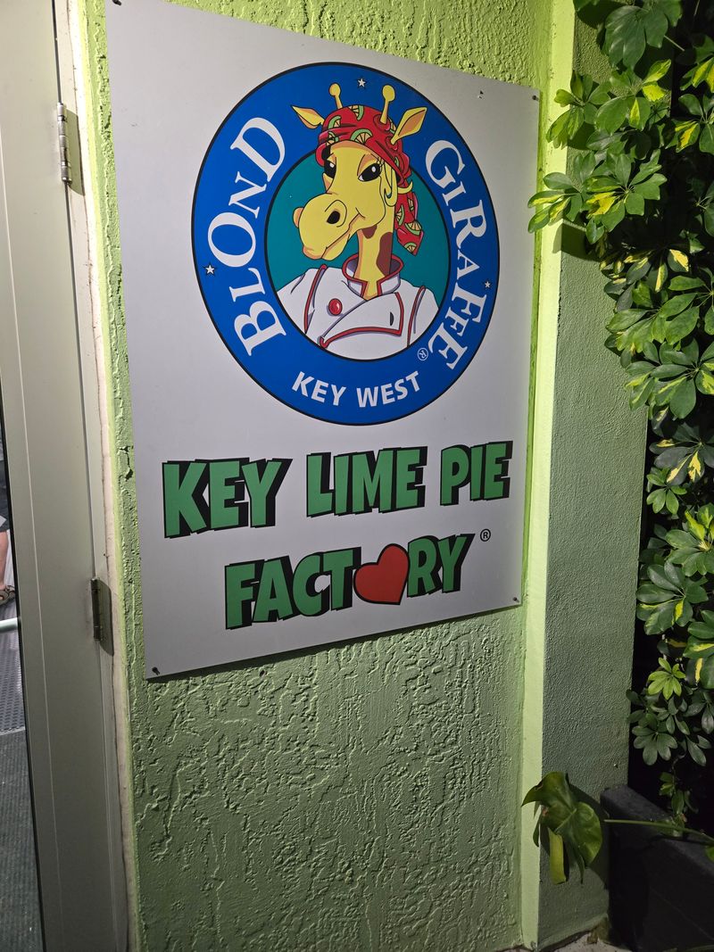 The Heartwarming Hospitality