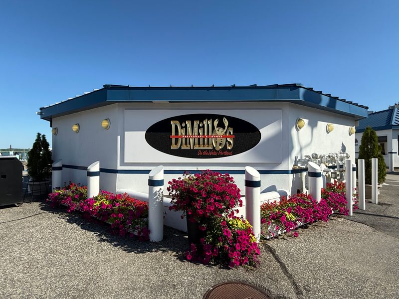 Perfect for Celebrations