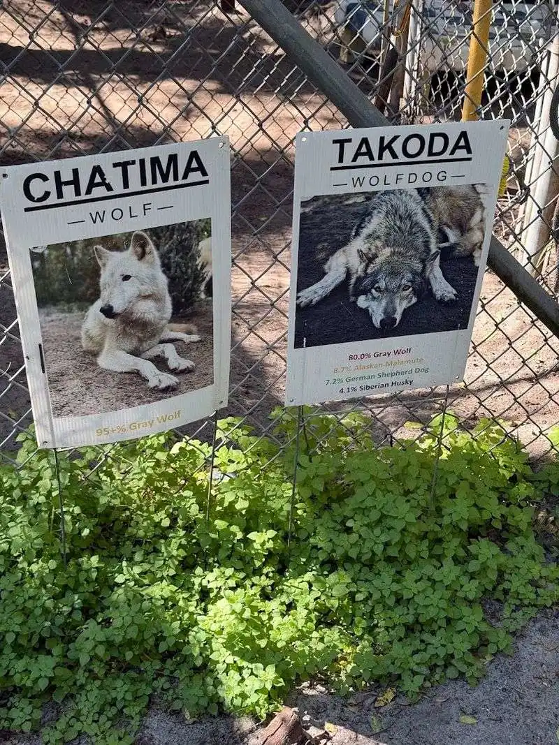 A Place for Connection