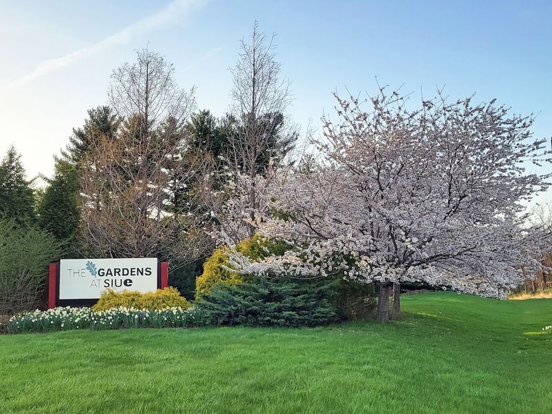 Free Admission and Extended Hours Make It Endlessly Accessible