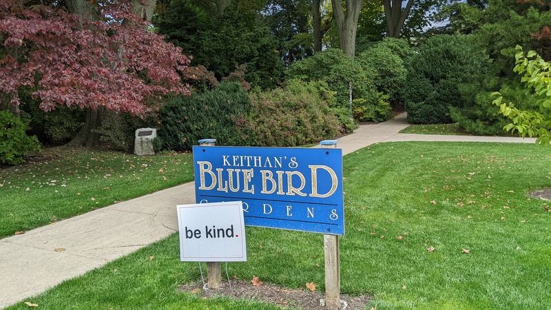 How to find it and where to park