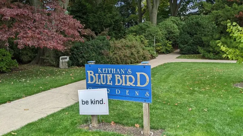 How to find it and where to park