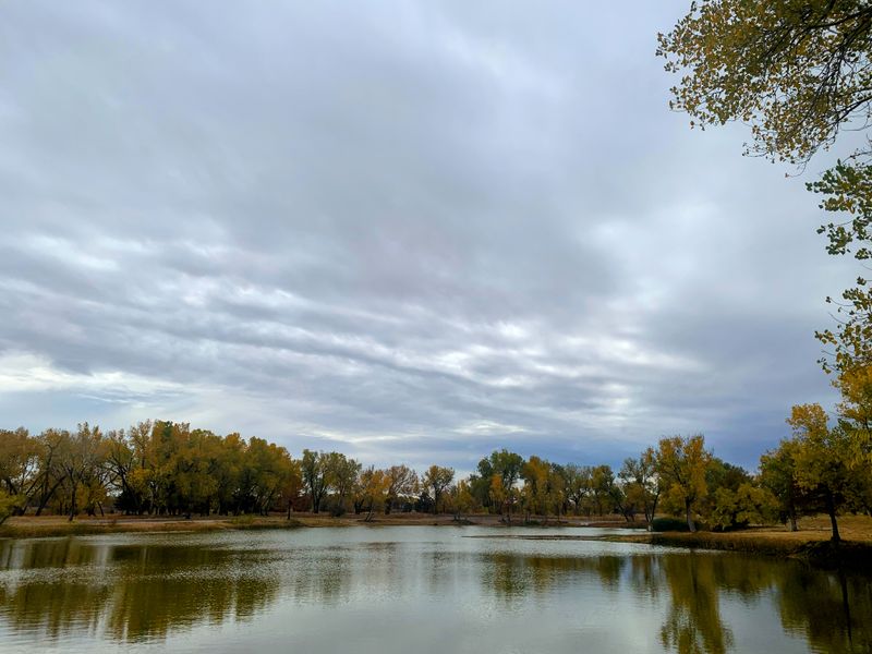 Location advantages without location pricing