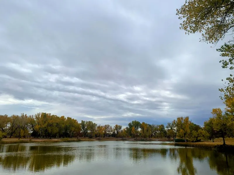 Location advantages without location pricing