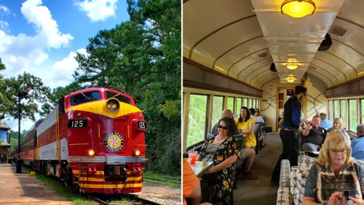A quiet train journey through Texas pine forests that rewards you with nonstop views