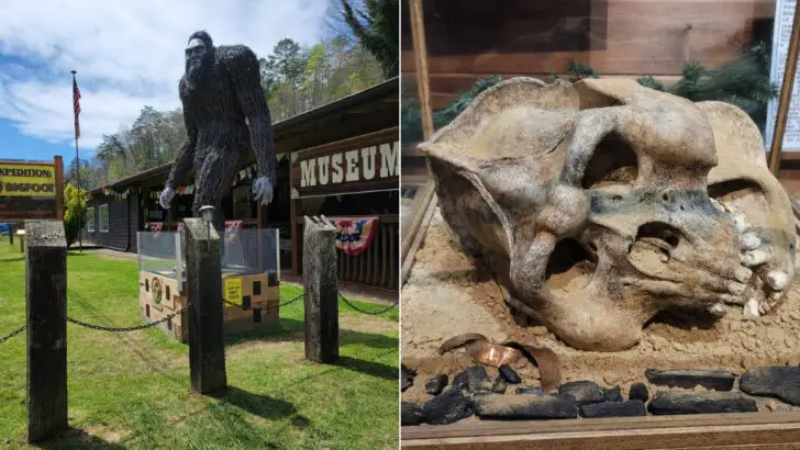 A quirky museum in Georgia claims the world&rsquo;s largest collection of Bigfoot artifacts