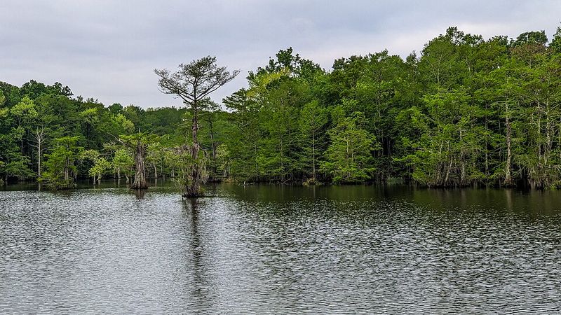 Lake Chicot