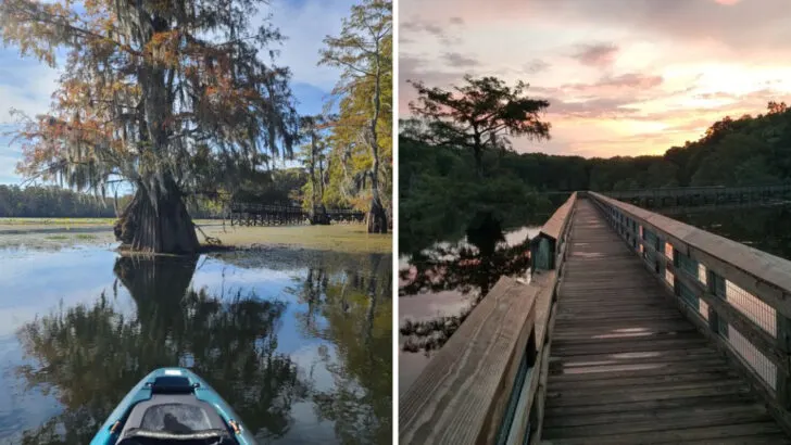 A scenic Louisiana state park many people pass by without realizing what they&rsquo;re missing