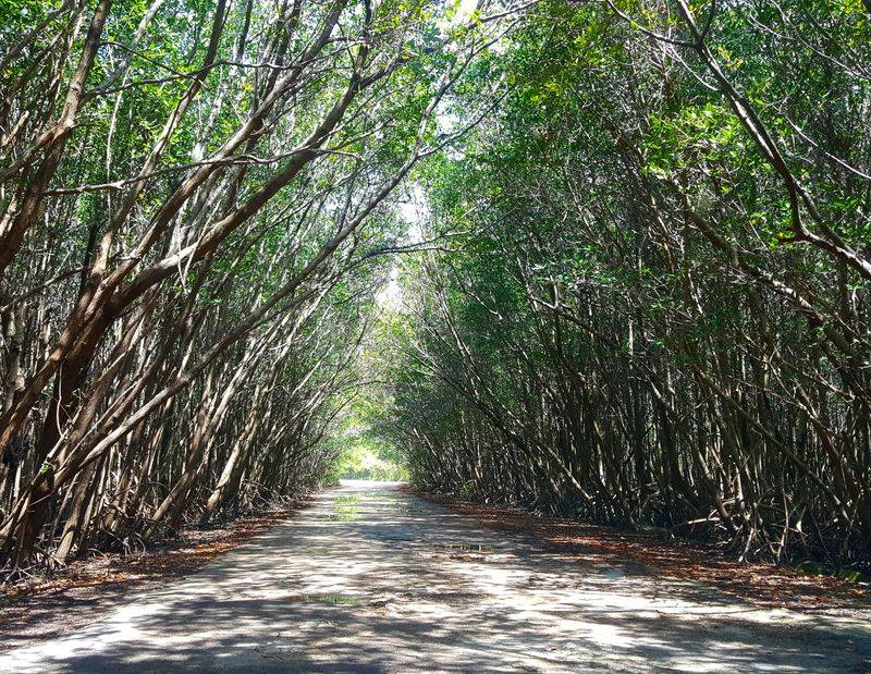 More than just swimming