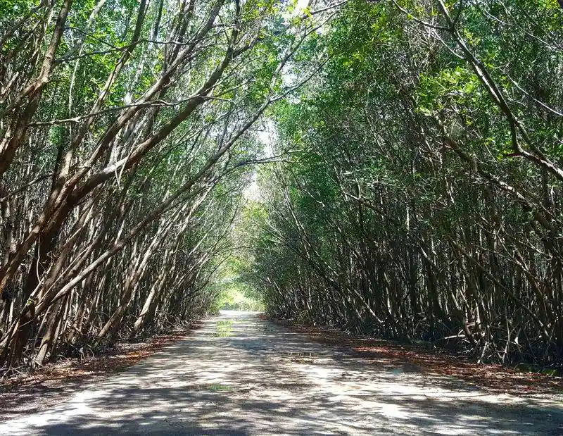 More than just swimming