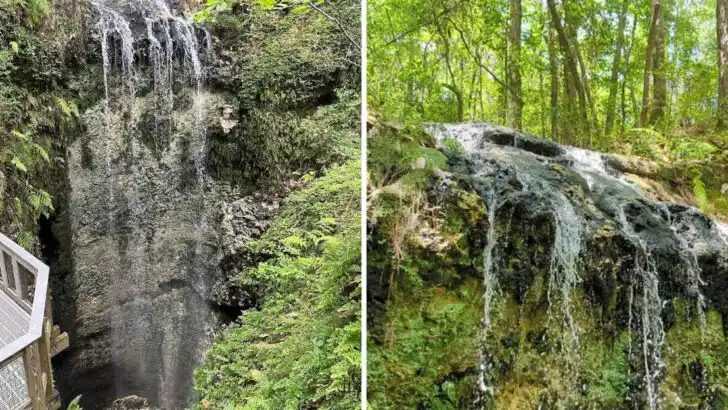 A simple one-mile trail in Florida takes you straight to the state&rsquo;s tallest waterfall