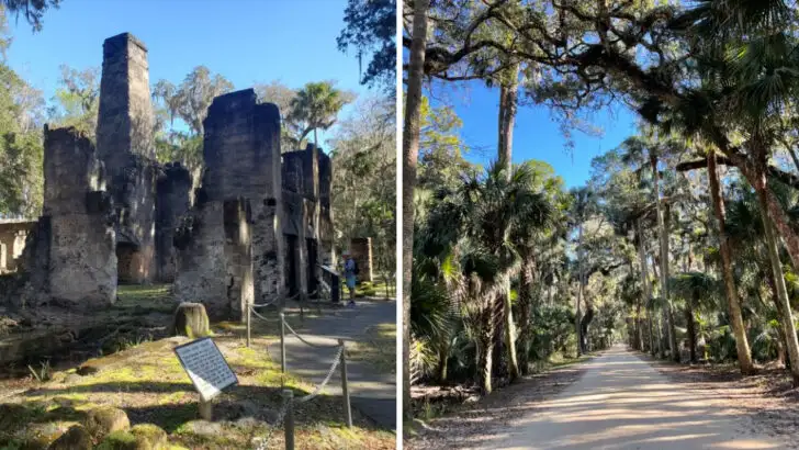 A woodland trail in Florida that ends at haunting plantation remains