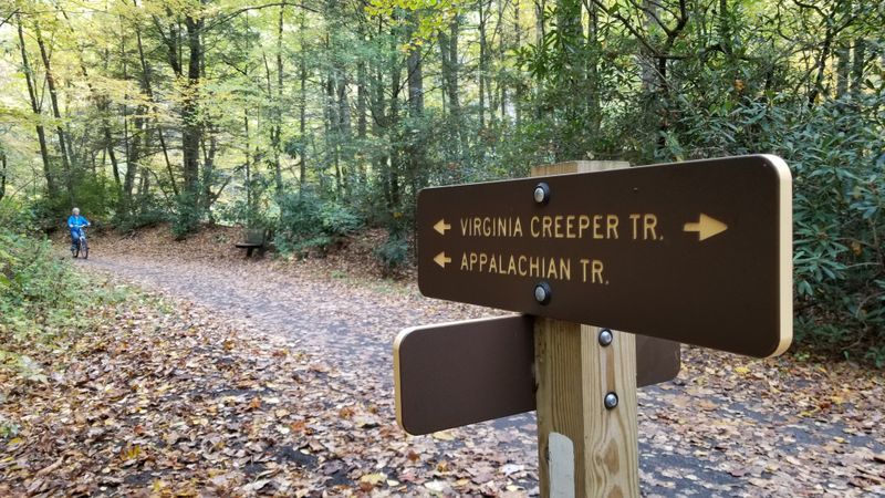 Seasonal Tips: Weather, Foliage, and Crowds