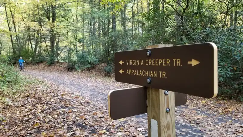 Seasonal Tips: Weather, Foliage, and Crowds