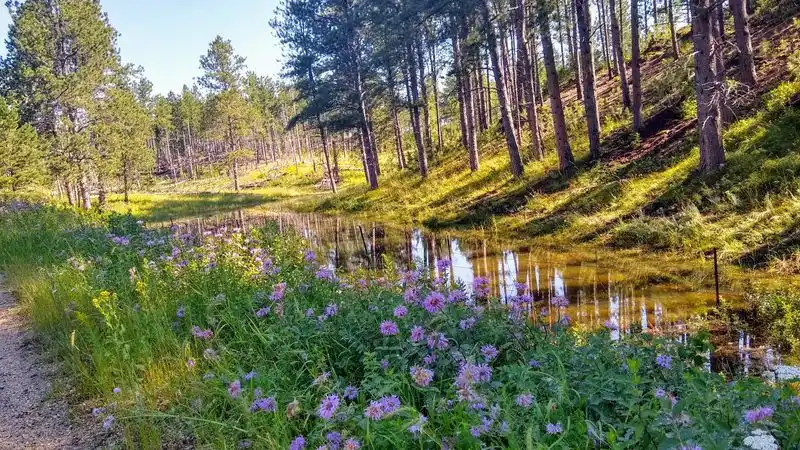 A Bucket-List Rail-Trail Experience