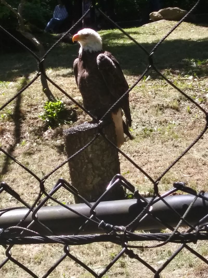 Nearby Exhibits, Wildlife Habitats, And Learning