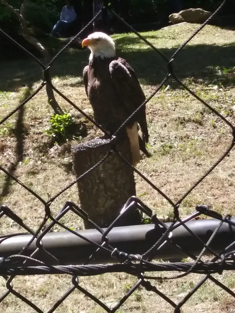 Nearby Exhibits, Wildlife Habitats, And Learning