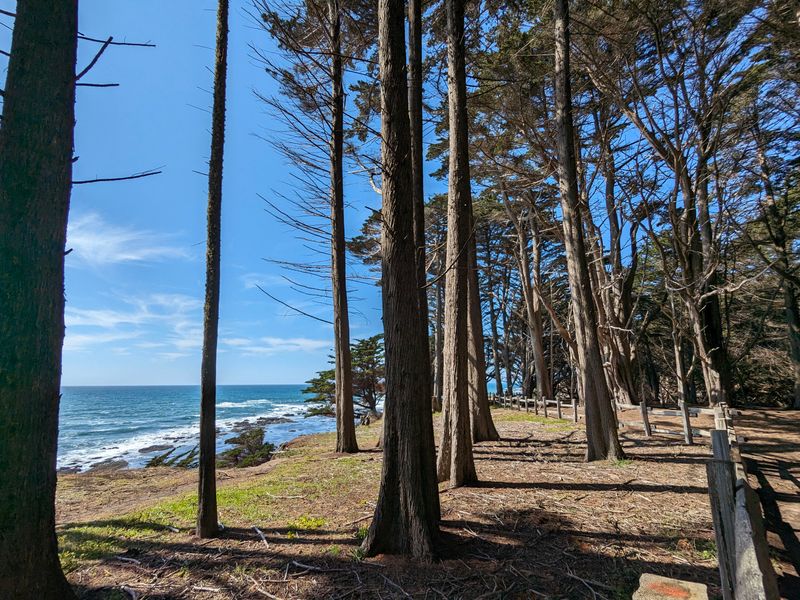 Beyond the Pools: Pairing Your Day in Moss Beach