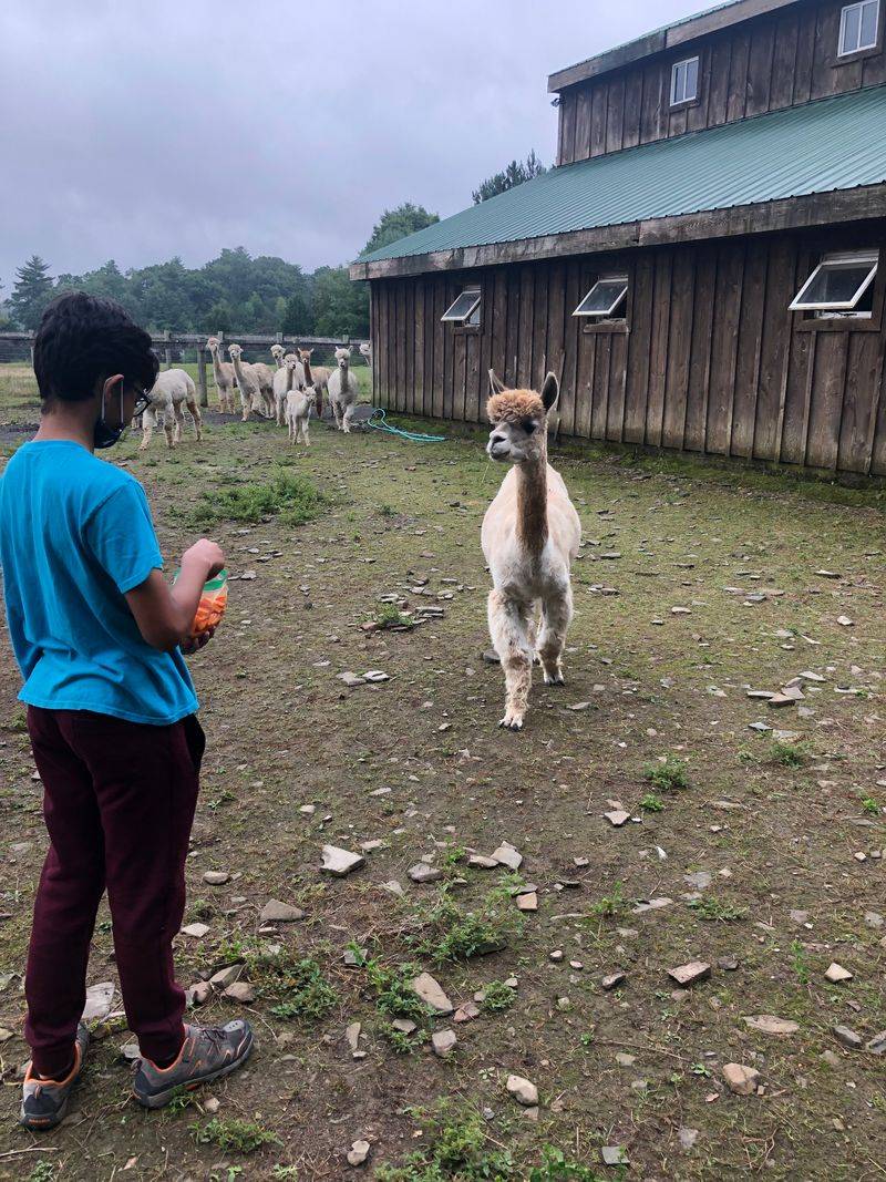 Respectful Farm Etiquette