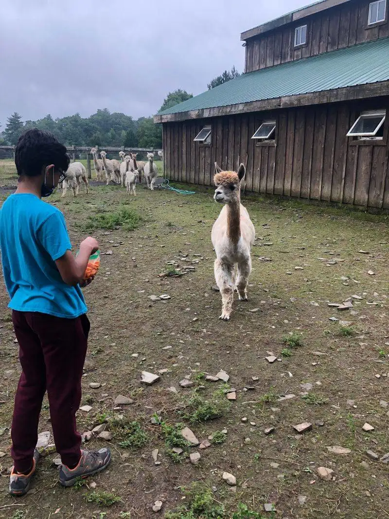 Respectful Farm Etiquette