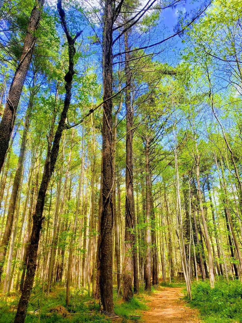 Best times to go, mornings, dog friendly walks, and seasonal notes