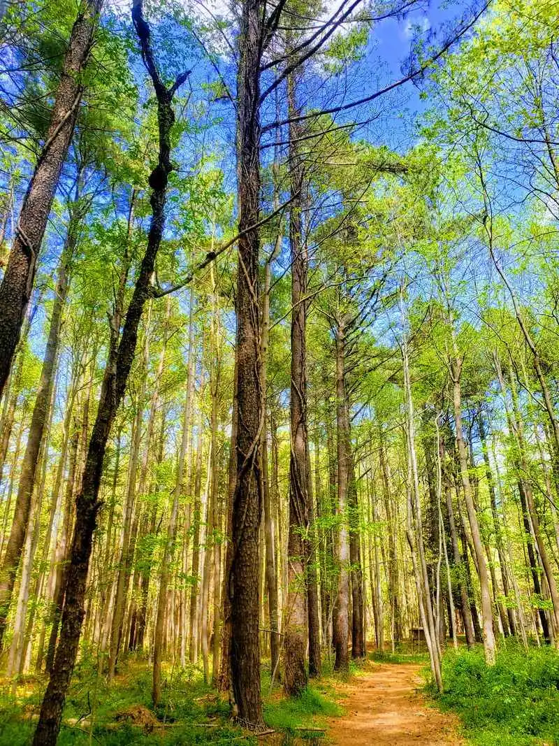 Best times to go, mornings, dog friendly walks, and seasonal notes