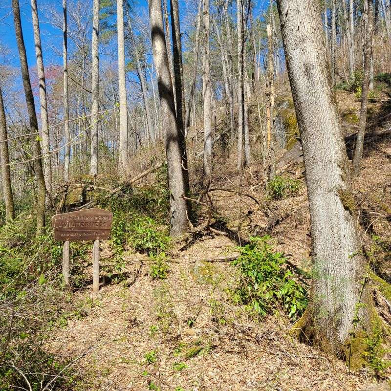 Safety notes and weather smarts