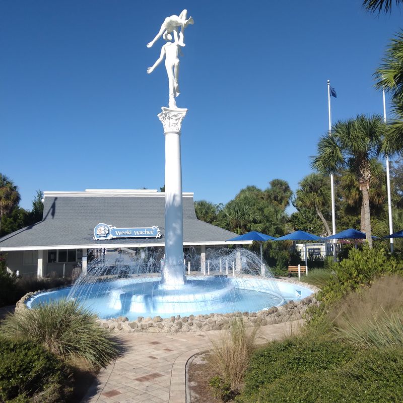 Responsible visiting and conservation