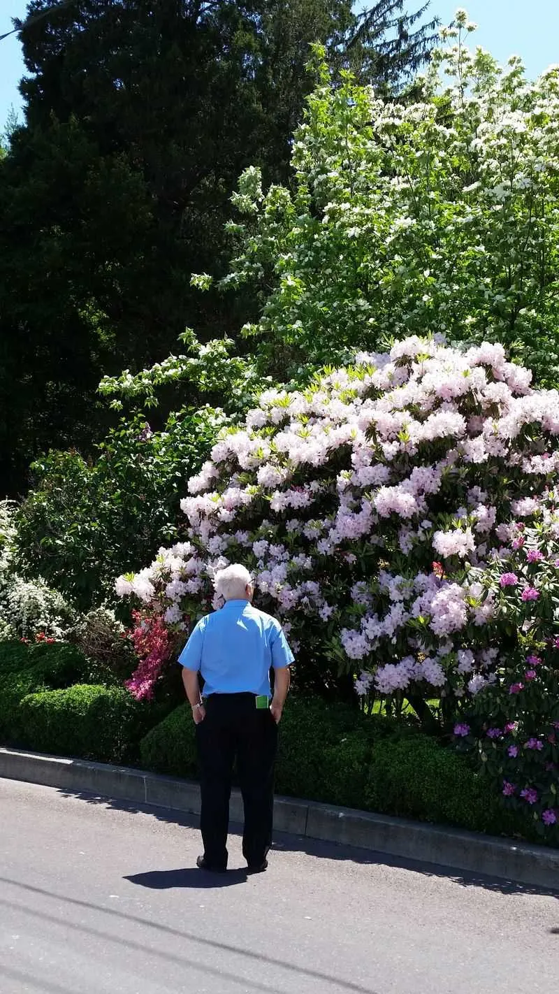 Care, trimming, and stewardship